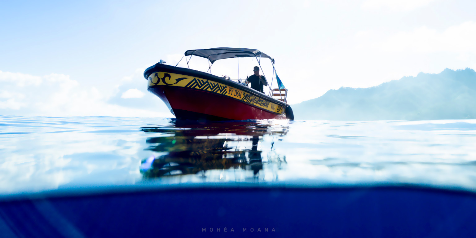 Koa Boat Tour à Moorea